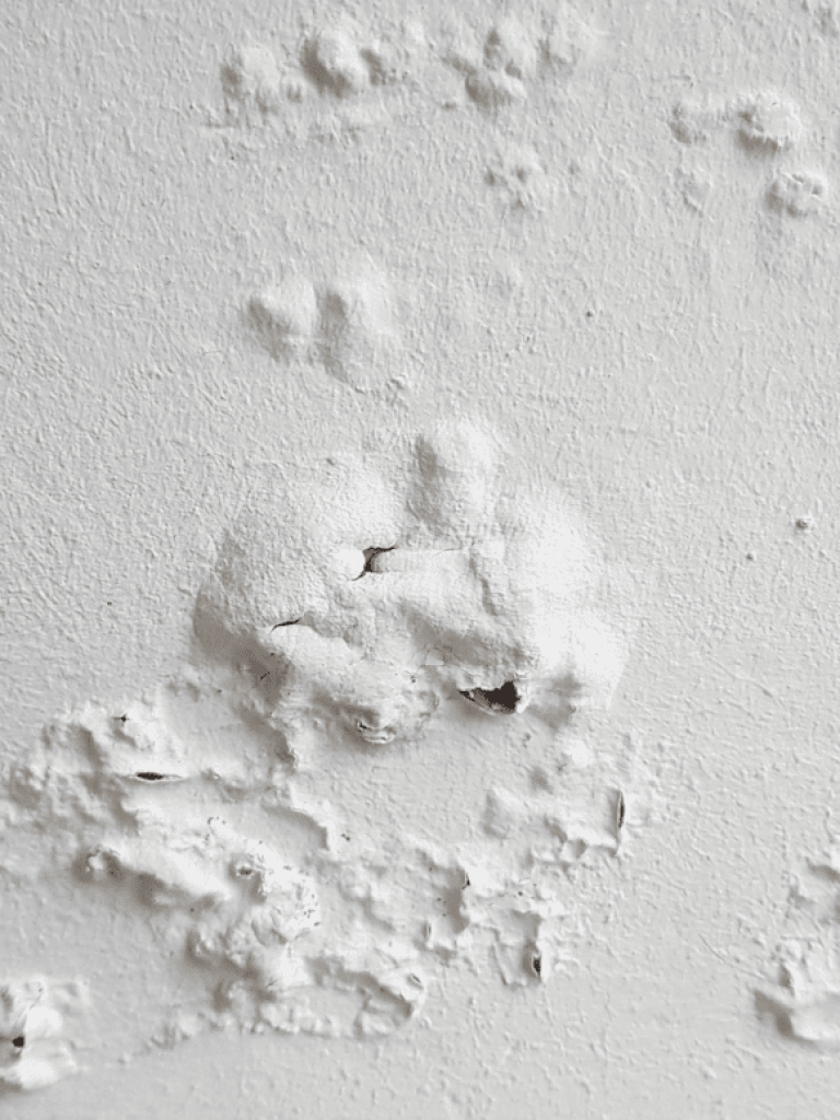 pared_abombada-1024x773